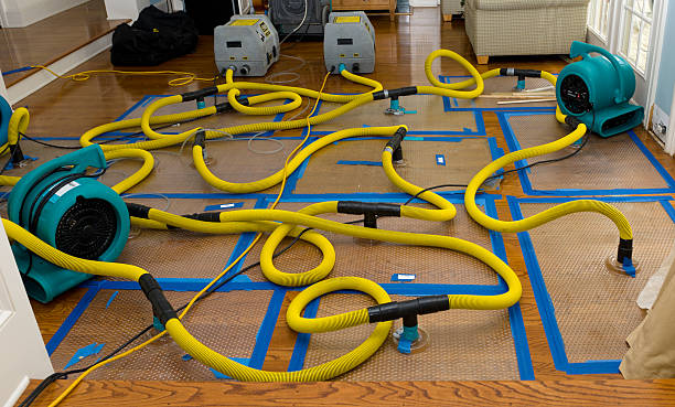 Professional Water Extraction technician working in Farmersville, OH